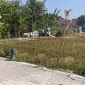 Mesin Perontok Padi digunakan petani Ngawi saat panen raya